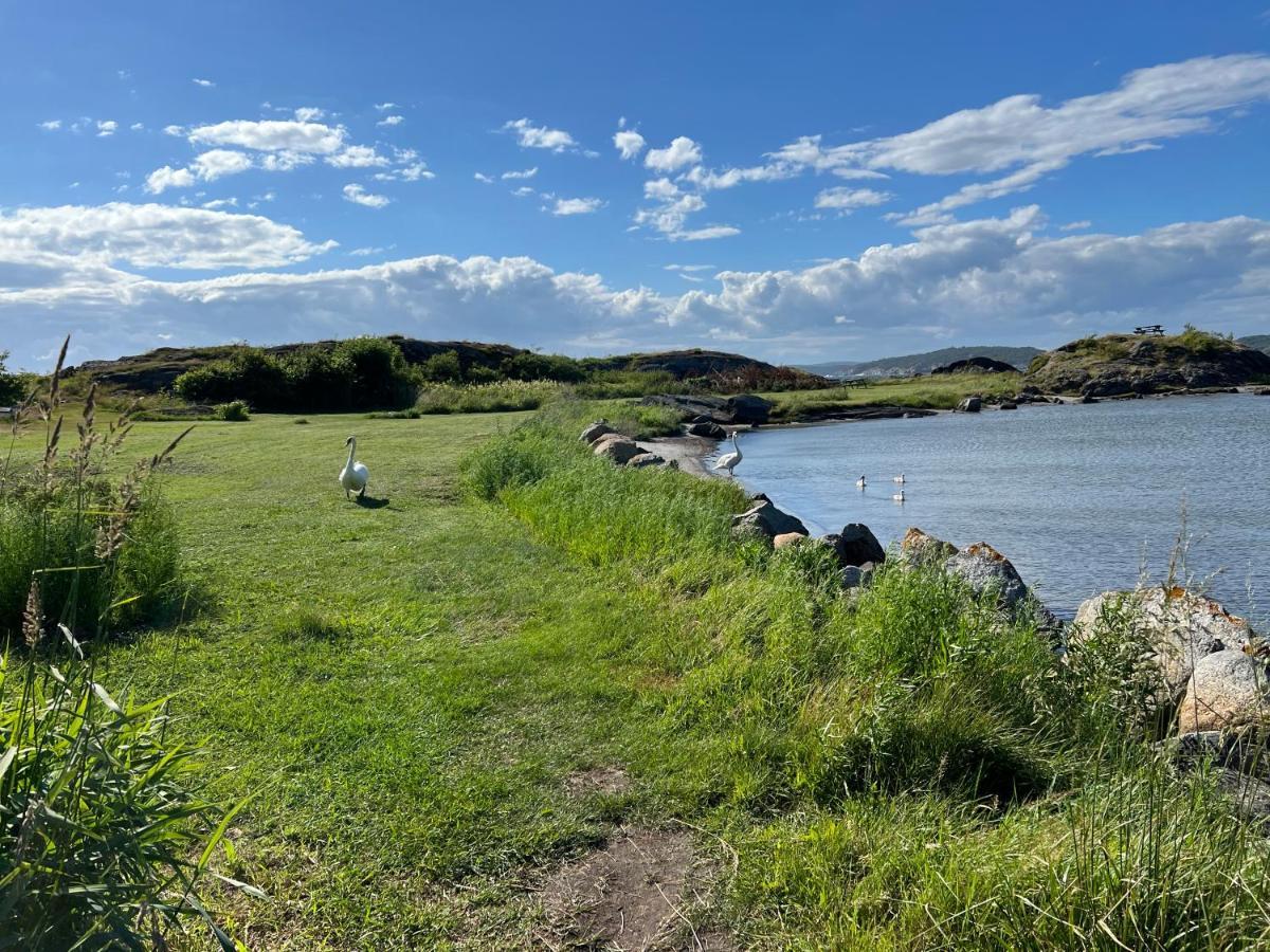 Ny Leilighet I Nevlunghavn Larvik Exterior foto
