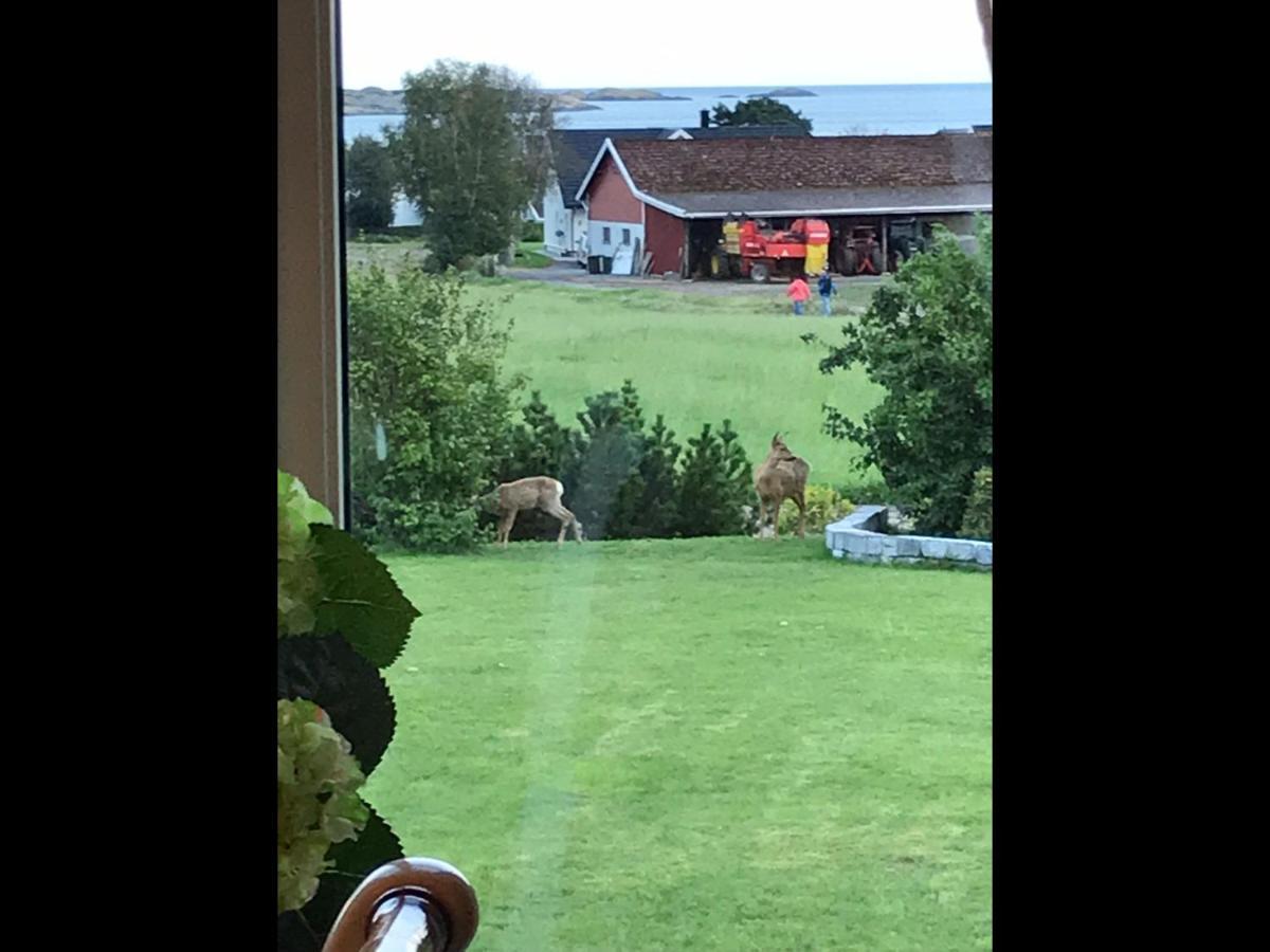 Ny Leilighet I Nevlunghavn Larvik Exterior foto