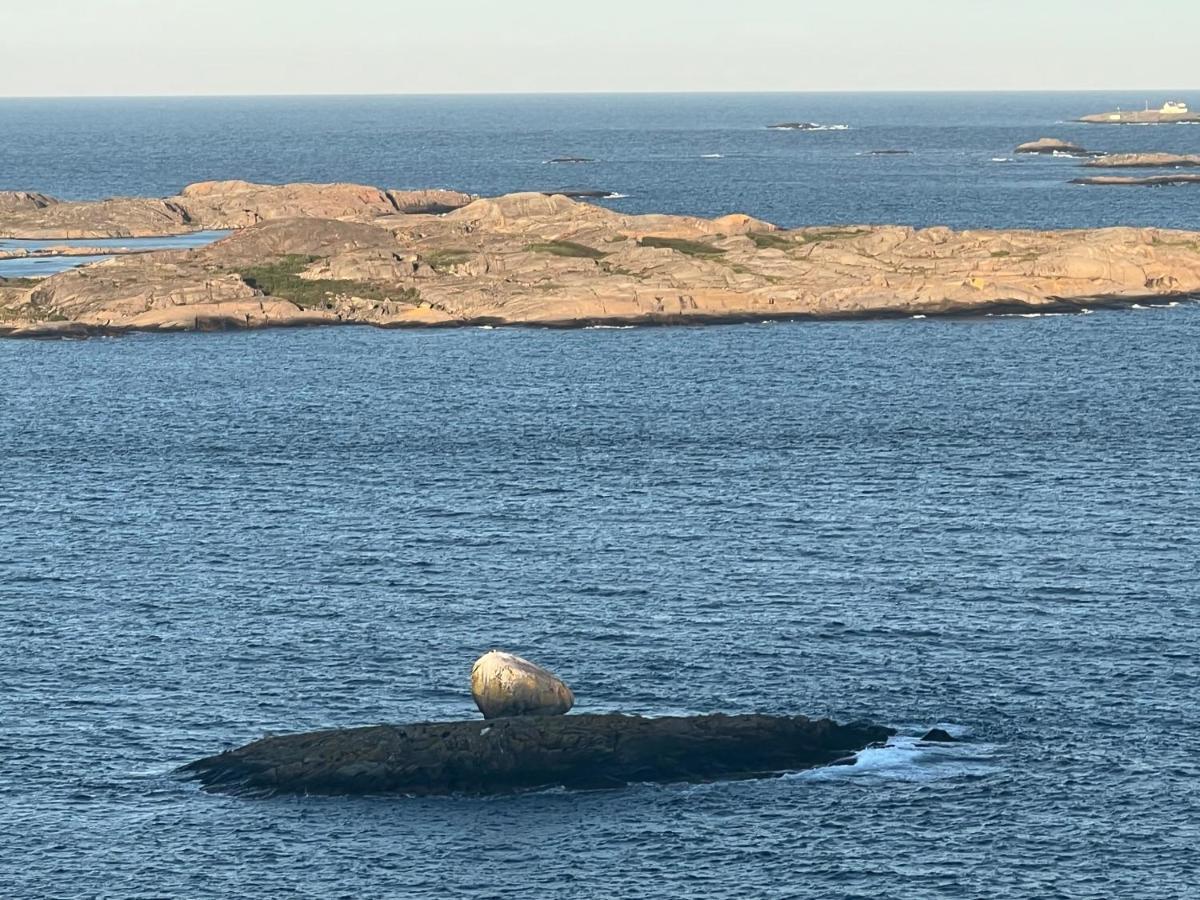 Ny Leilighet I Nevlunghavn Larvik Exterior foto